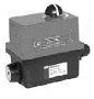 AMB-Y ER+60.90A.G00 Электропривод (90-240 В перем., 50 Гц или 90-350 В пост 45 Вт, IP66, откр/закр, вр. откр. 12 c) прис. F05/11