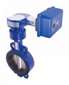 Затвор дисковый поворотный с ЭИМ ВЭО-04 Ду80