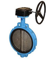 SYLAX Butterfly valve DN50, PN16 - PFA 16BAR, BODY CAST IRON LUG TYPE; GEAR BOX;  DISC GGG40 polyamide coated; LINER EPDM