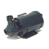 Насос  PM70/A          ELP 220-240 50                                                                                                                                                                                                                 